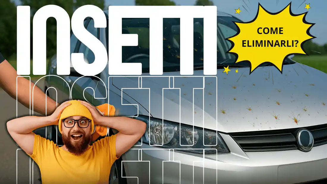 articolo del blog su come rimuovere gli insetti dall'auto