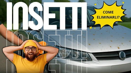 articolo del blog su come rimuovere gli insetti dall'auto