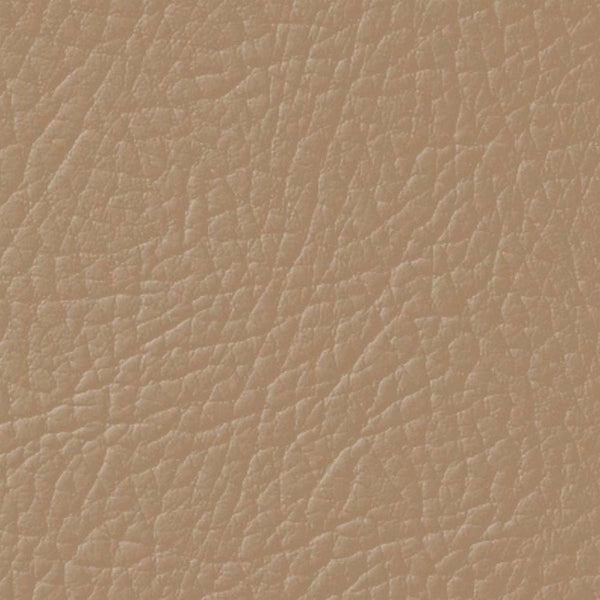Colore Per Pelle Leather Colourant Cashmere Kaschmir Beige206 by Leather Expert