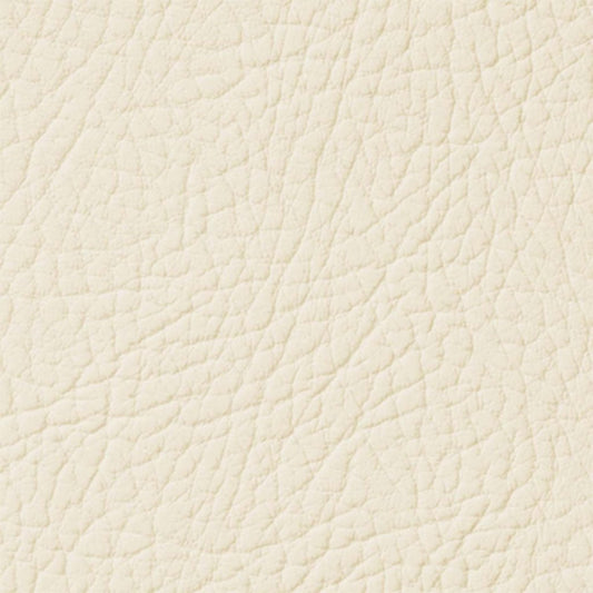 Colore Per Pelle Leather Colourant Crema Chiaro Light Cream102 by Leather Expert - Solodettagli