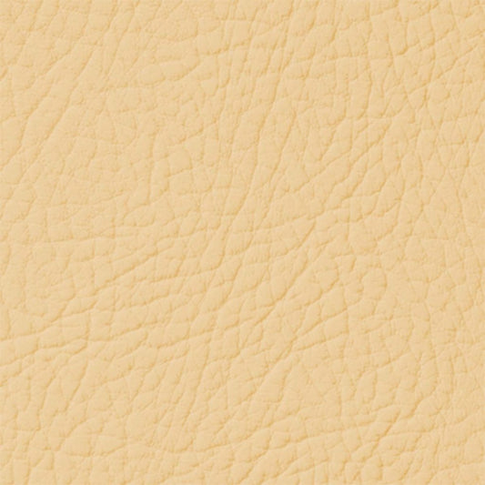 Colore Per Pelle Leather Colourant Crema Oro Golden Cream106 by Leather Expert - Solodettagli