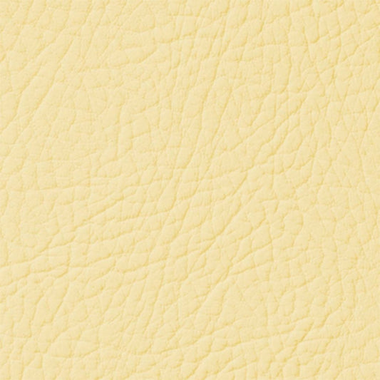 Colore Per Pelle Leather Colourant Latte Buttermilk104 by Leather Expert - Solodettagli