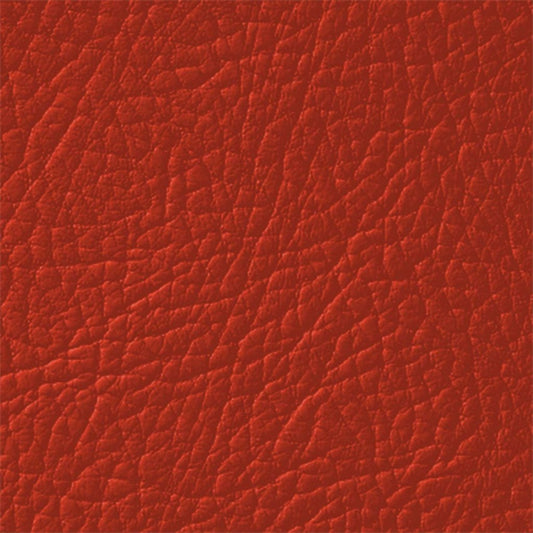 Colore Per Pelle Leather Colourant Marrone April Brown305 by Leather Expert - Solodettagli