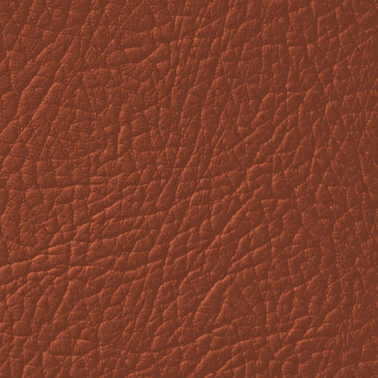 Colore Per Pelle Leather Colourant Marrone Medium Brown311 by Leather Expert - Solodettagli