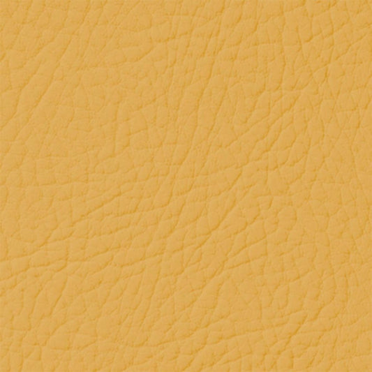Colore Per Pelle Leather Colourant Mostarda Mustard105 by Leather Expert - Solodettagli