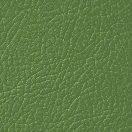 Colore Per Pelle Leather Colourant Verde Green601 by Leather Expert - Solodettagli