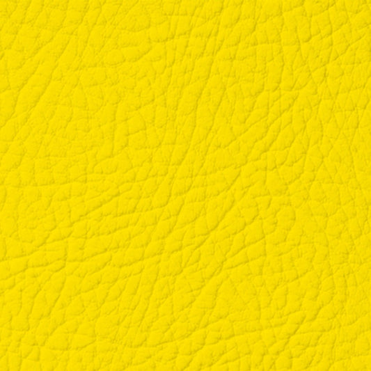 Colore Per Pelle Leather Colourant Yellow010 by Leather Expert - Solodettagli